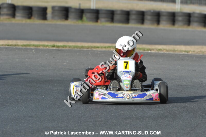 DSC_6648 (2).JPG